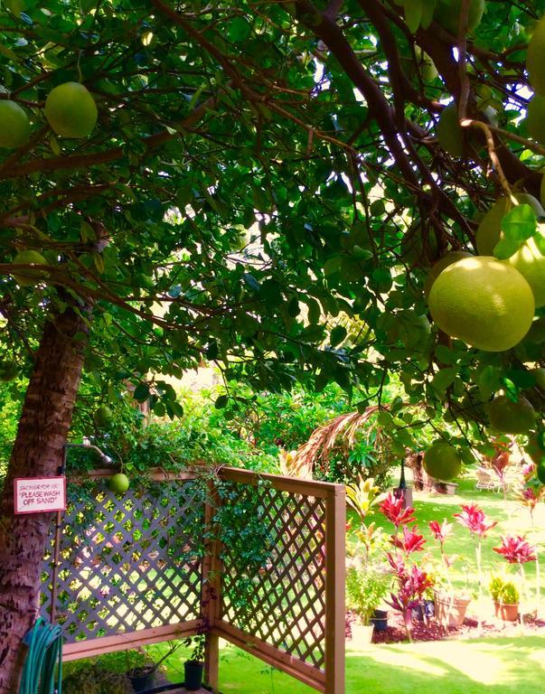Nona Lani Cottages كيهي المظهر الخارجي الصورة