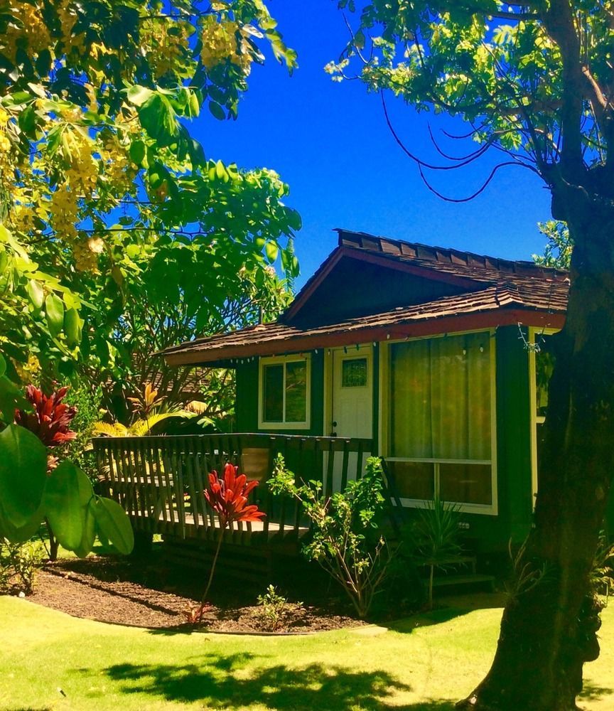 Nona Lani Cottages كيهي المظهر الخارجي الصورة